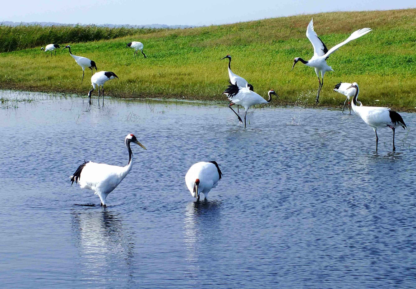 东北三省游风景图片之一