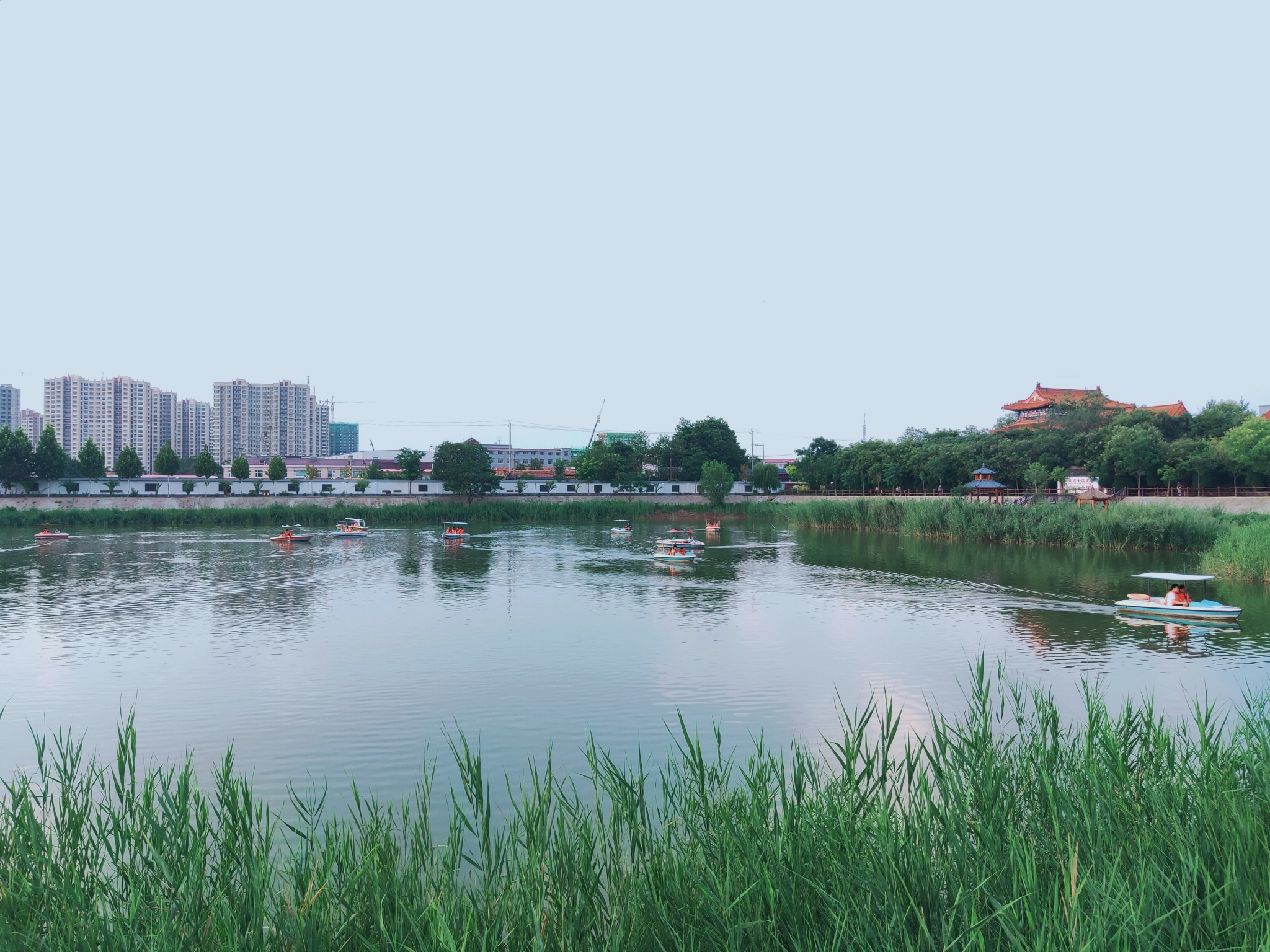 可爱的家乡.东光县铁佛寺