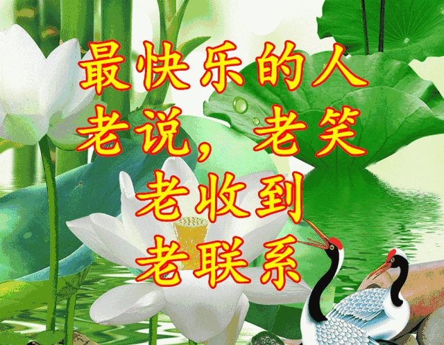 今天正月初九祝你健康长寿!