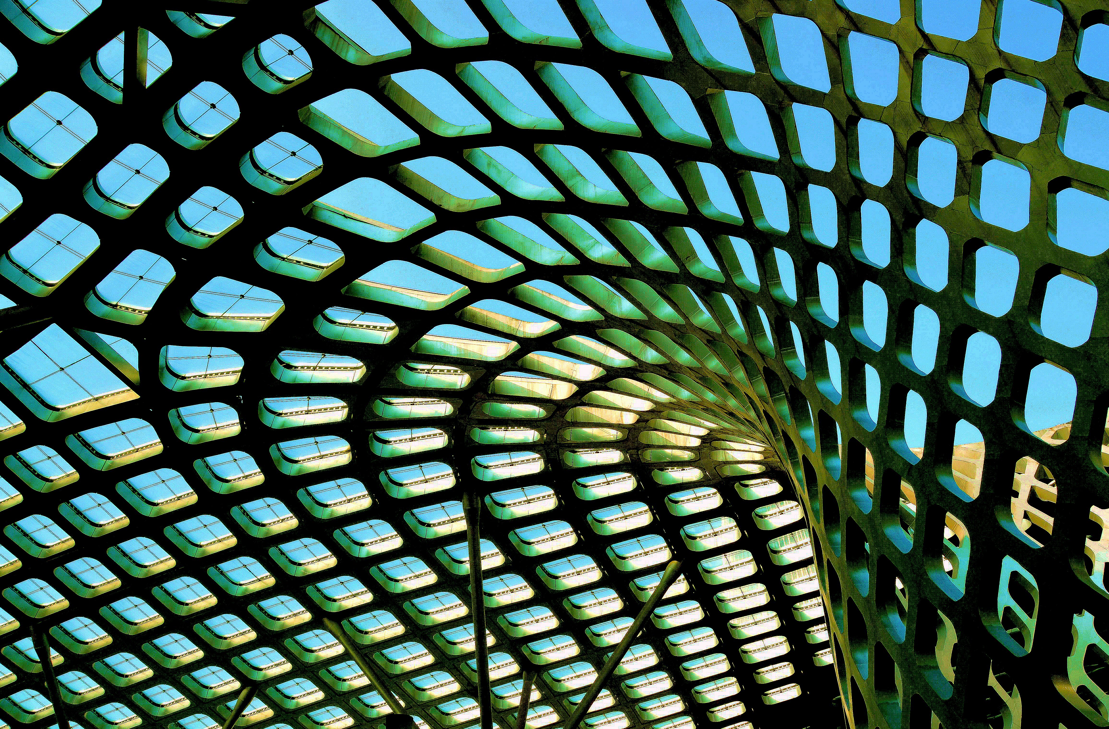 深圳湾体育场——春茧曲线之影/摄影:玛河石