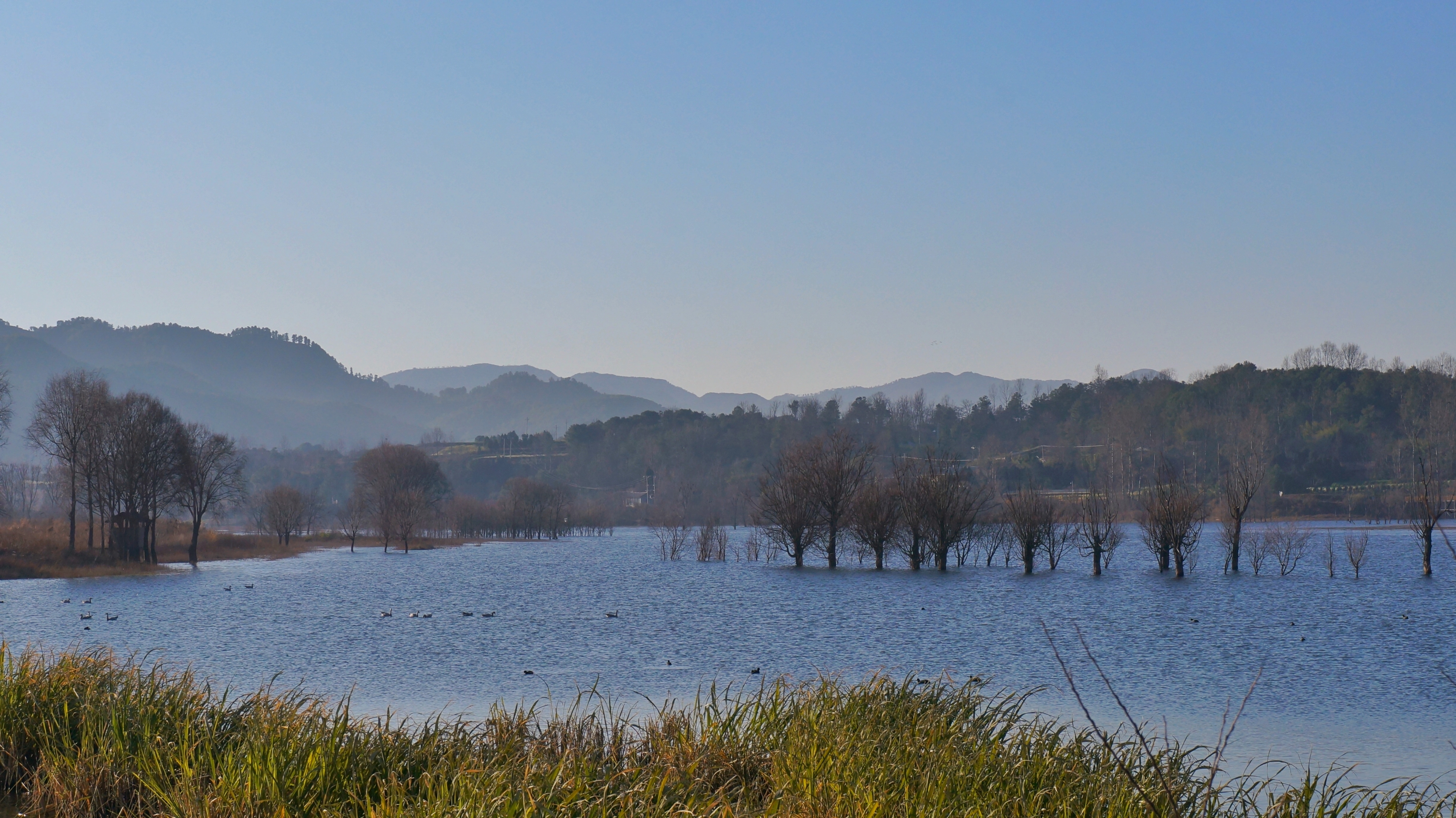 昆明市东川区达贝湿地公园