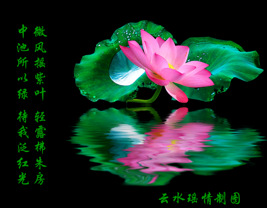 900_700gif 动态图 动图