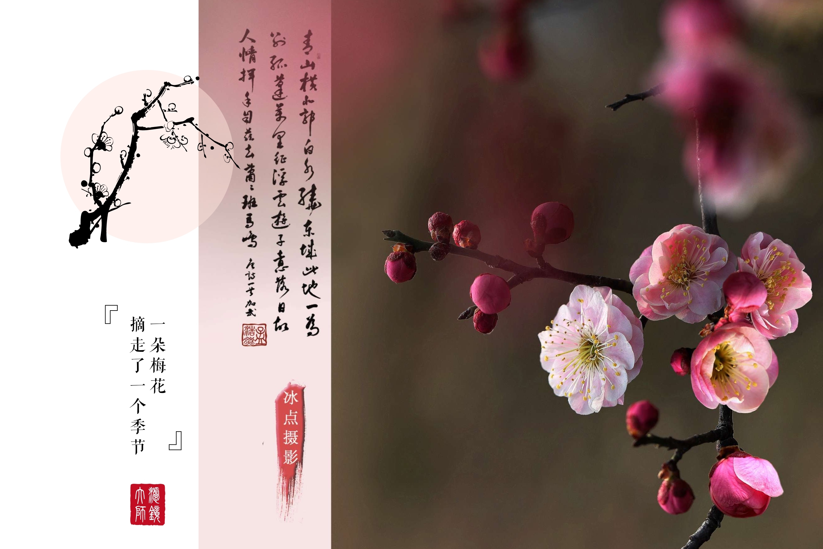 首发梅兰竹菊四君子