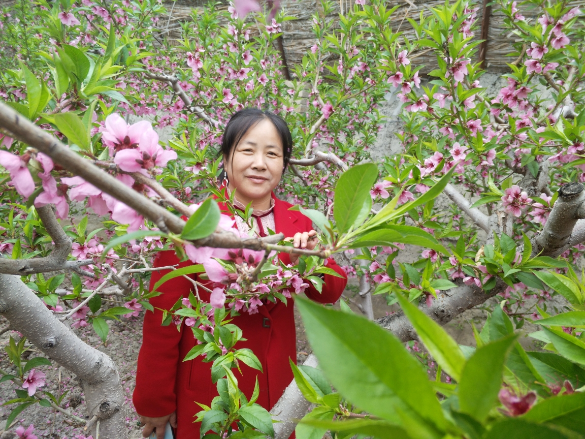 美女桃花别样红