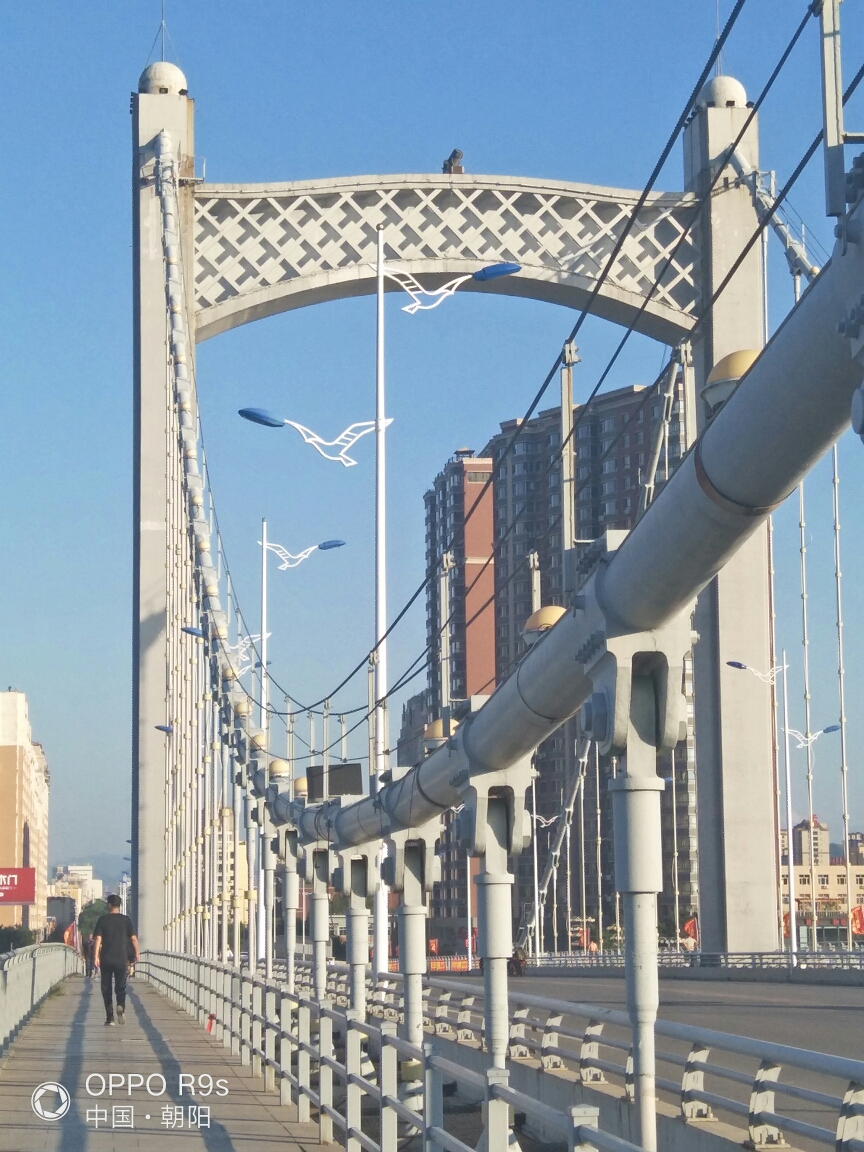 麒麟大桥上