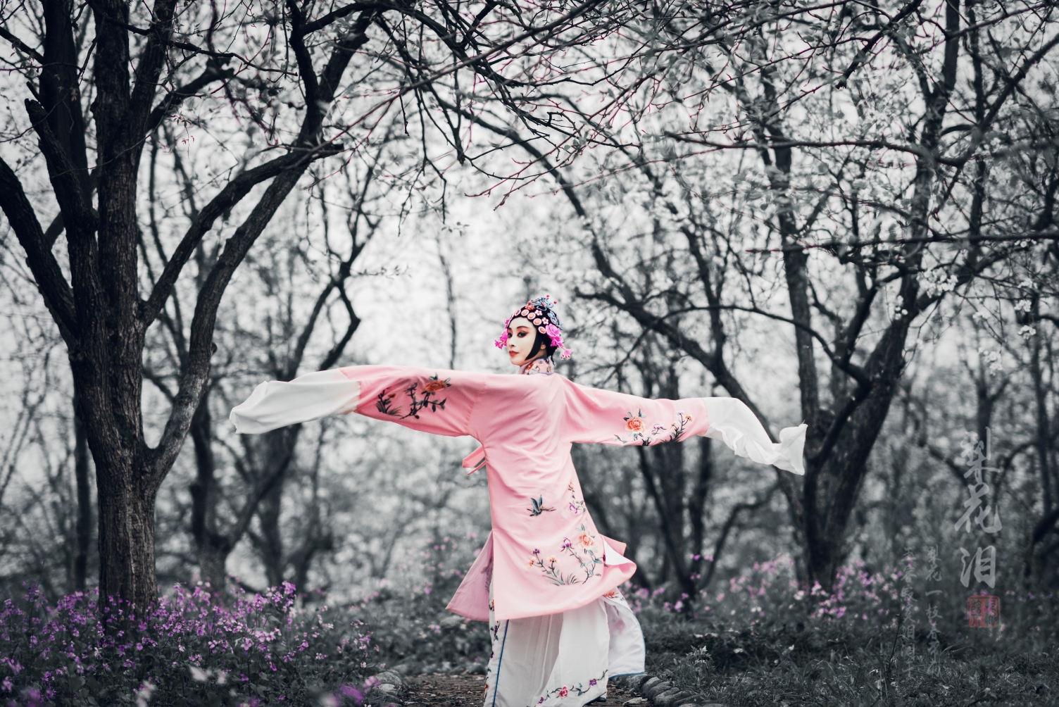 梨花泪