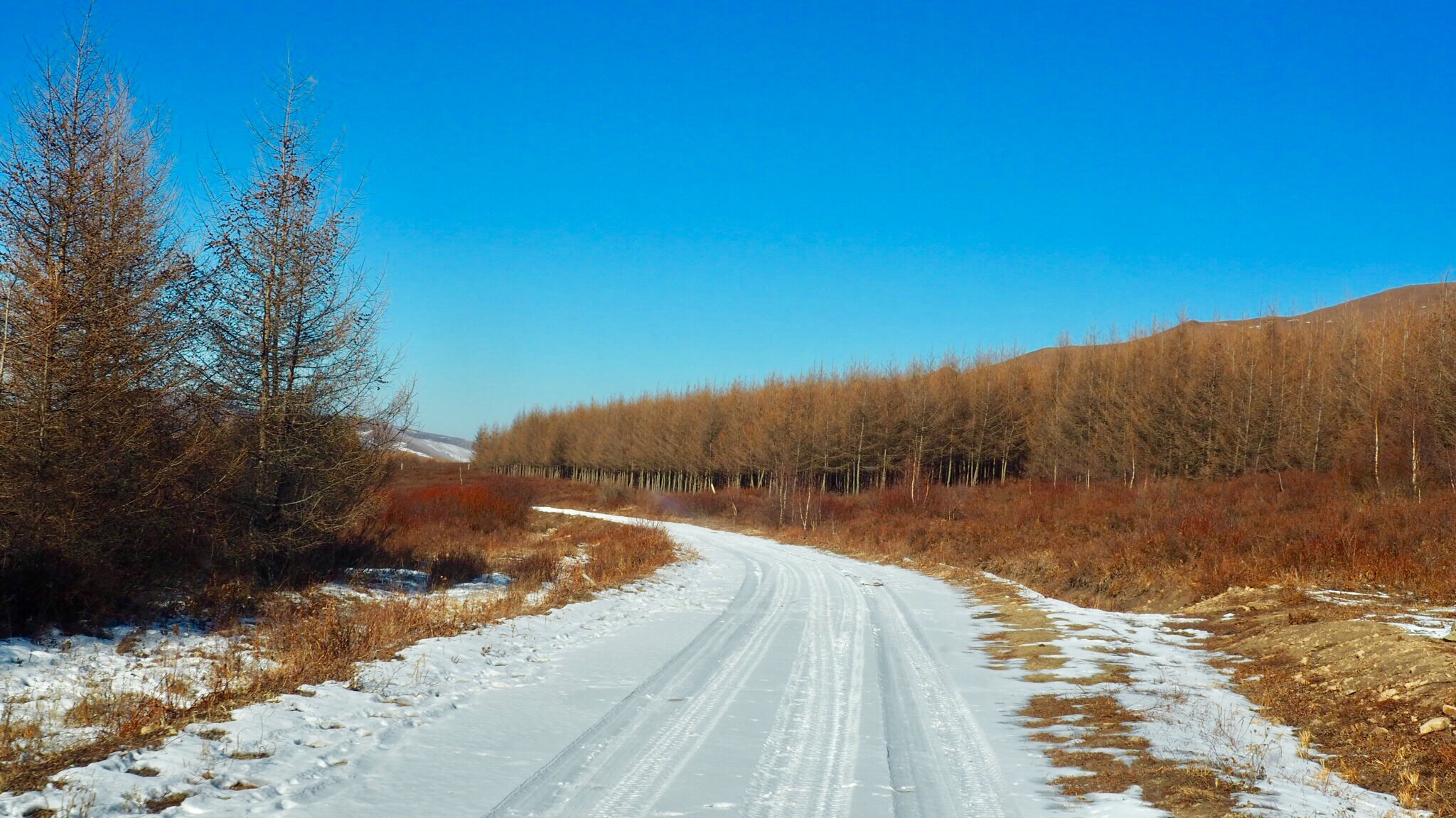 冬日里的坝上草原