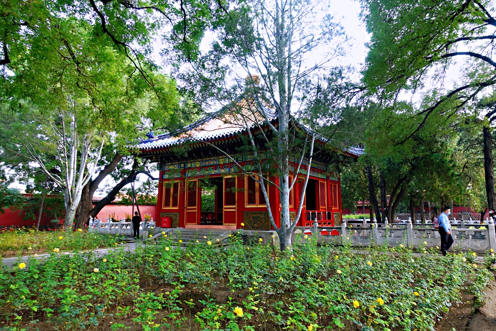 故宫见闻之二慈宁宫花园