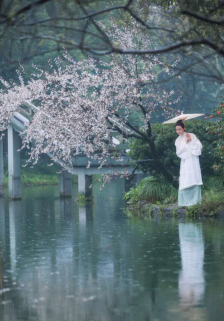 【多情又是桃花雨】