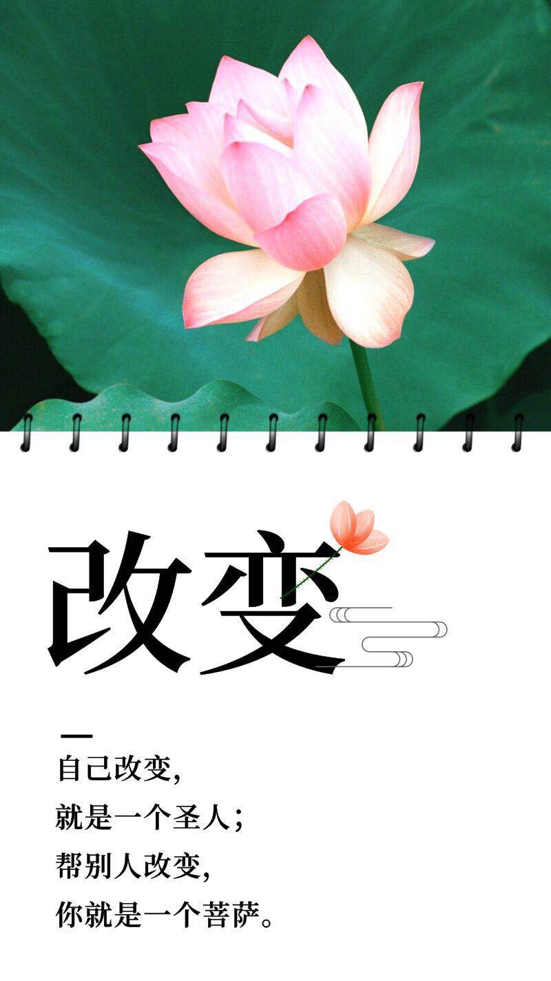 释迦牟尼佛答曰:我虽有宇宙最大的神通力,但依然有四件事情是做不到