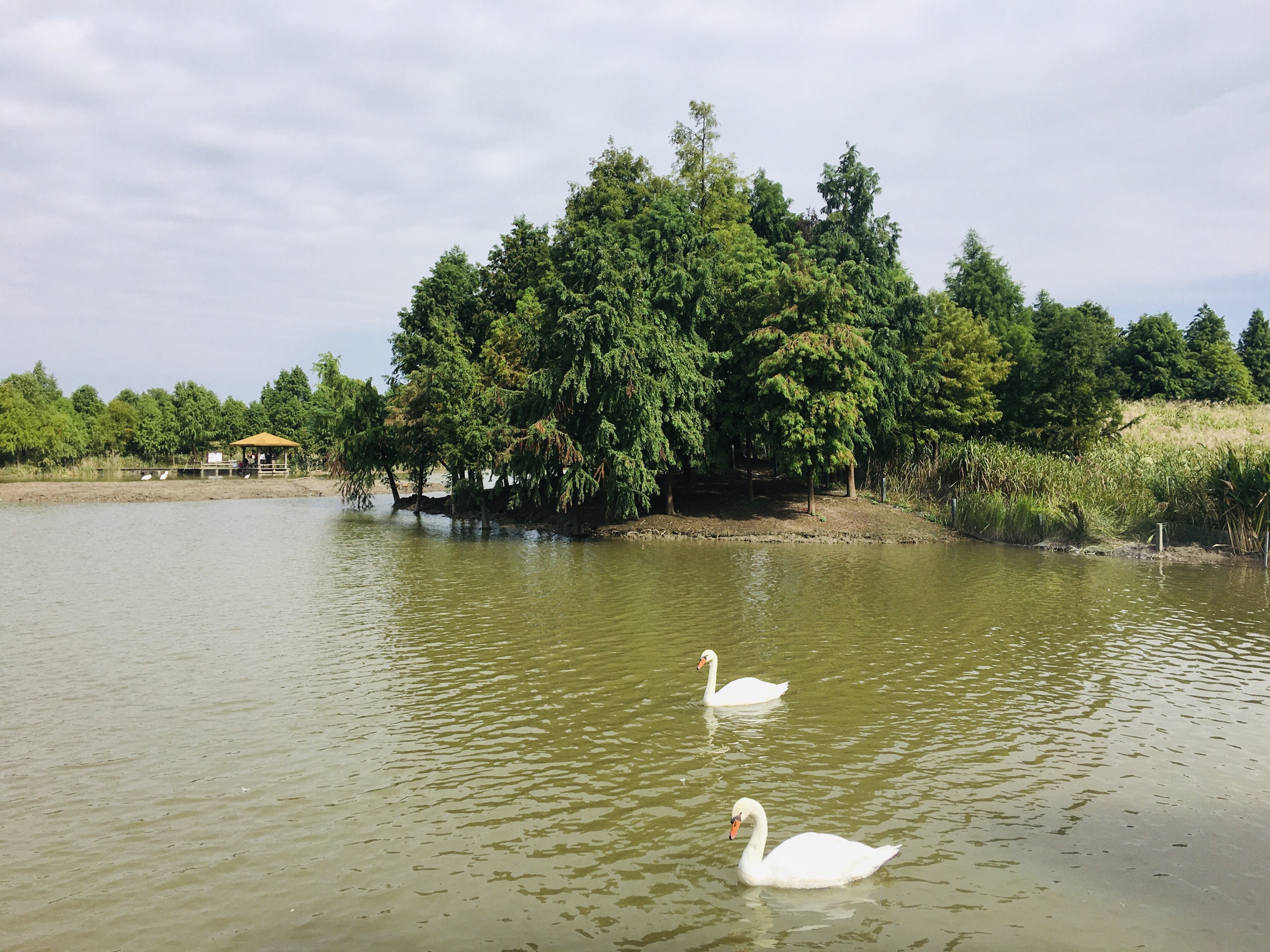 寧波杭州灣國家溼地公園掠影