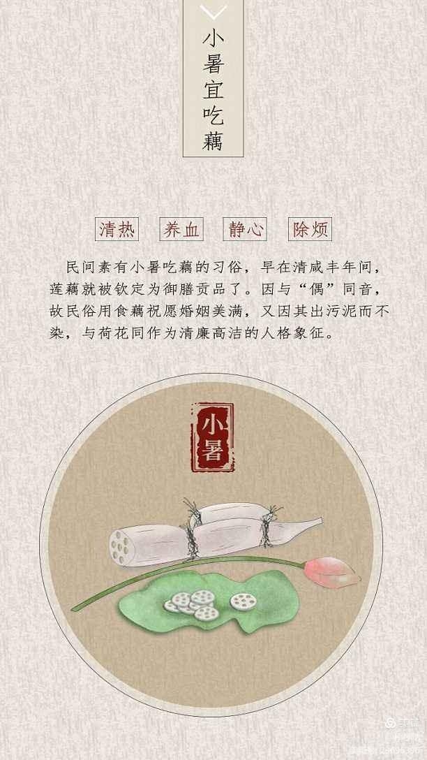 每逢小暑节气,民间有吃藕的习俗 藕中含有大量的碳水化合物及