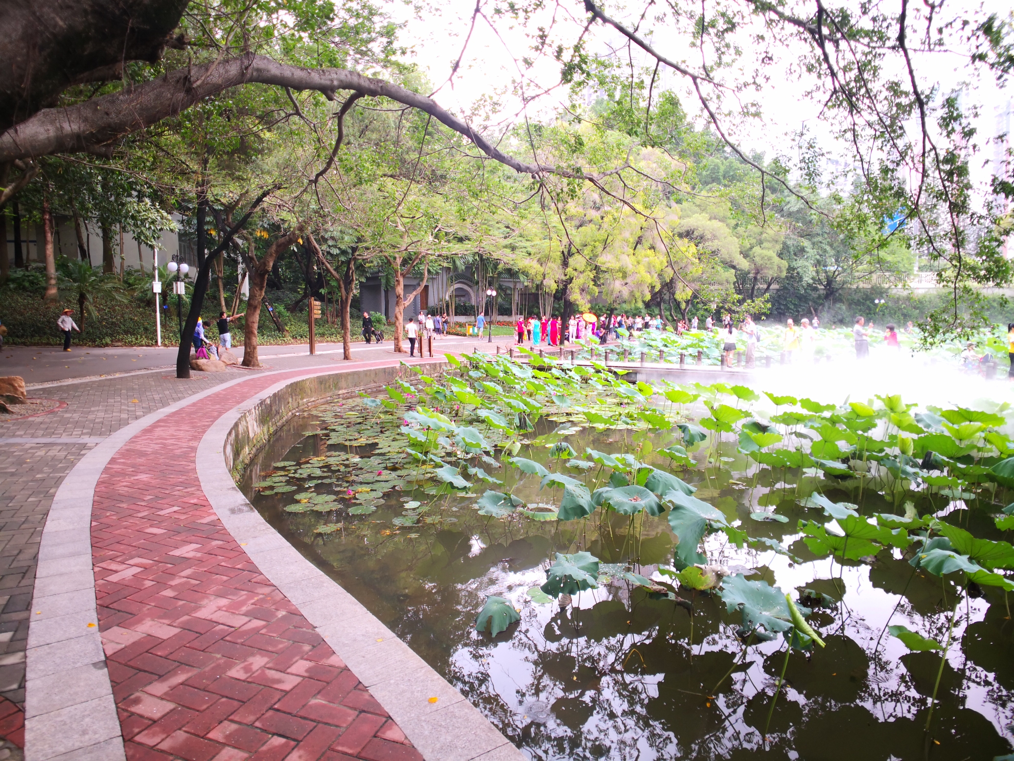 深圳洪湖公園噴霧景觀(2018.6.14手機拍)