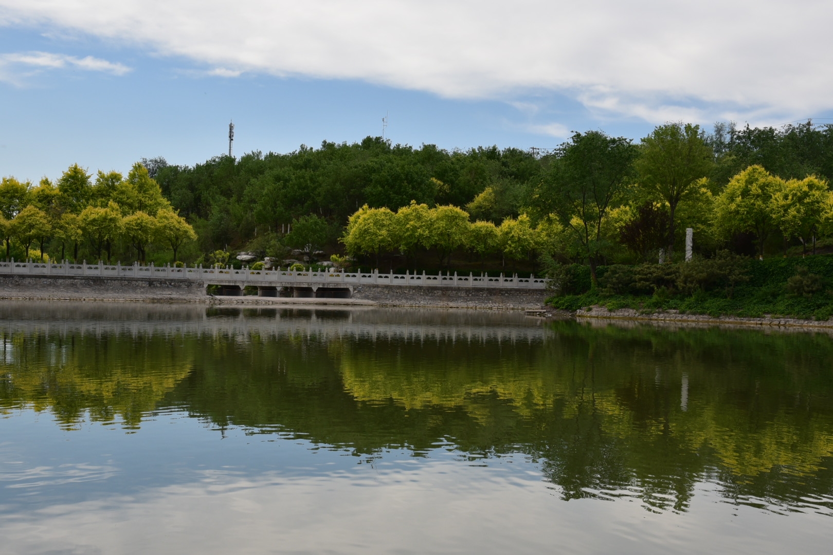 初夏,来到了位于丰台区的北宫国家森林公园;用手机,相机记录了园内