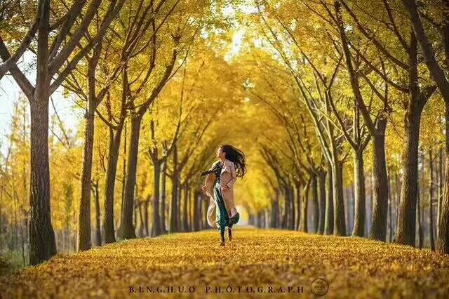 感恩与你相依相惜 我在内心深处默默的祈祷 祈祷茫茫人海与你相遇