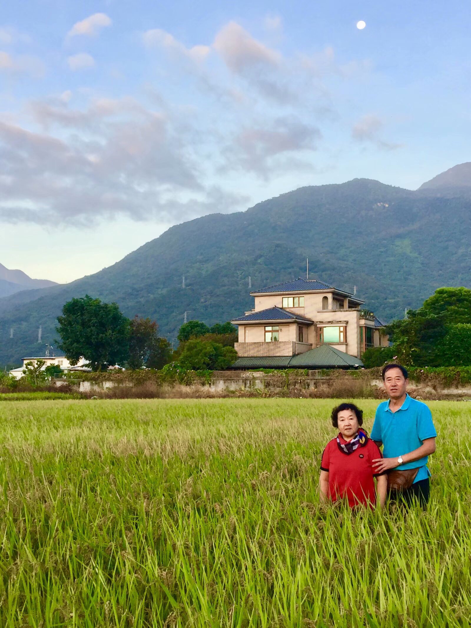 臺灣之旅(花蓮縣吉安鄉的早晨)