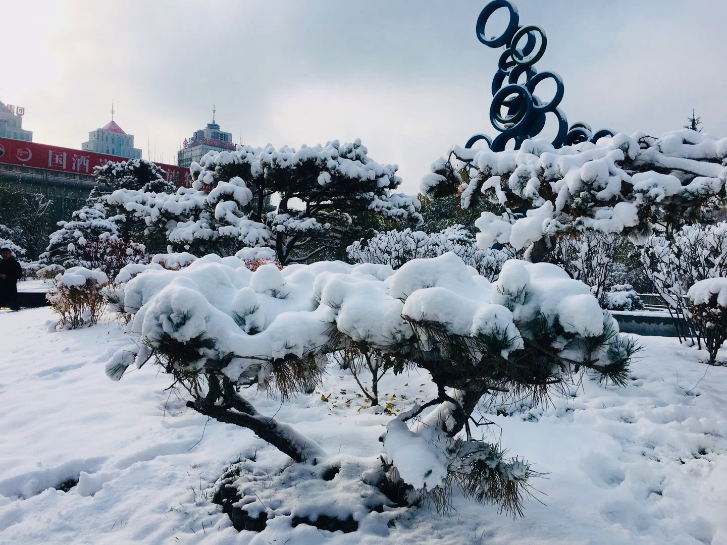 冬季西宁旅游景点大全图片
