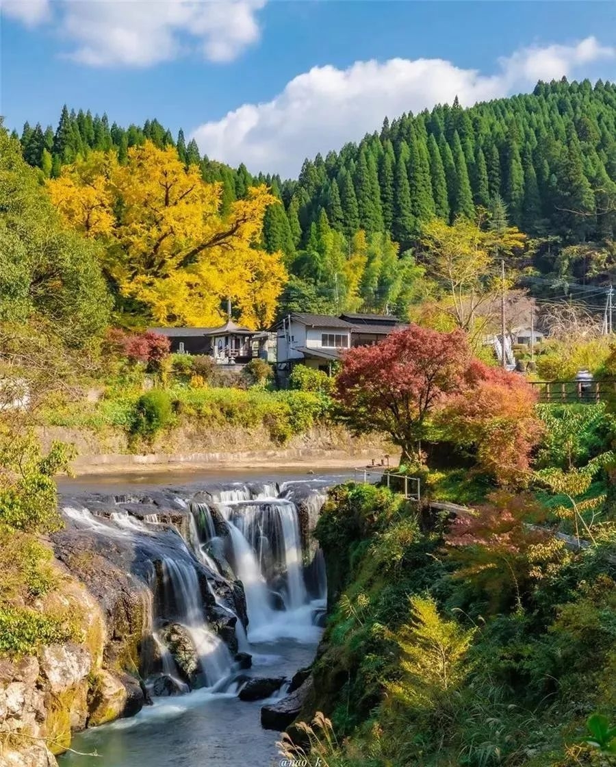 陪你踏遍千山萬水