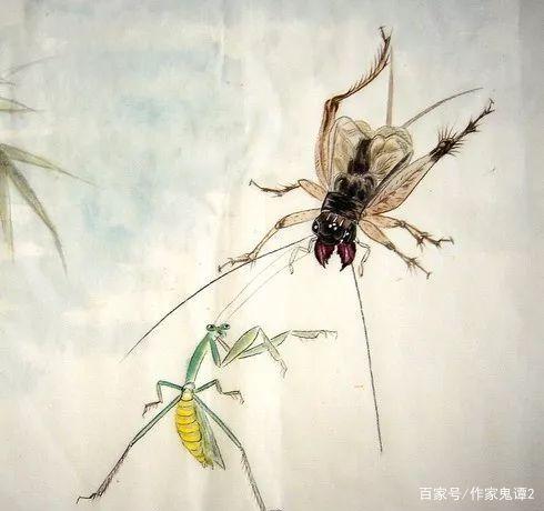 就是那一只蟋蟀|作者|流沙河|朗诵|赵燕