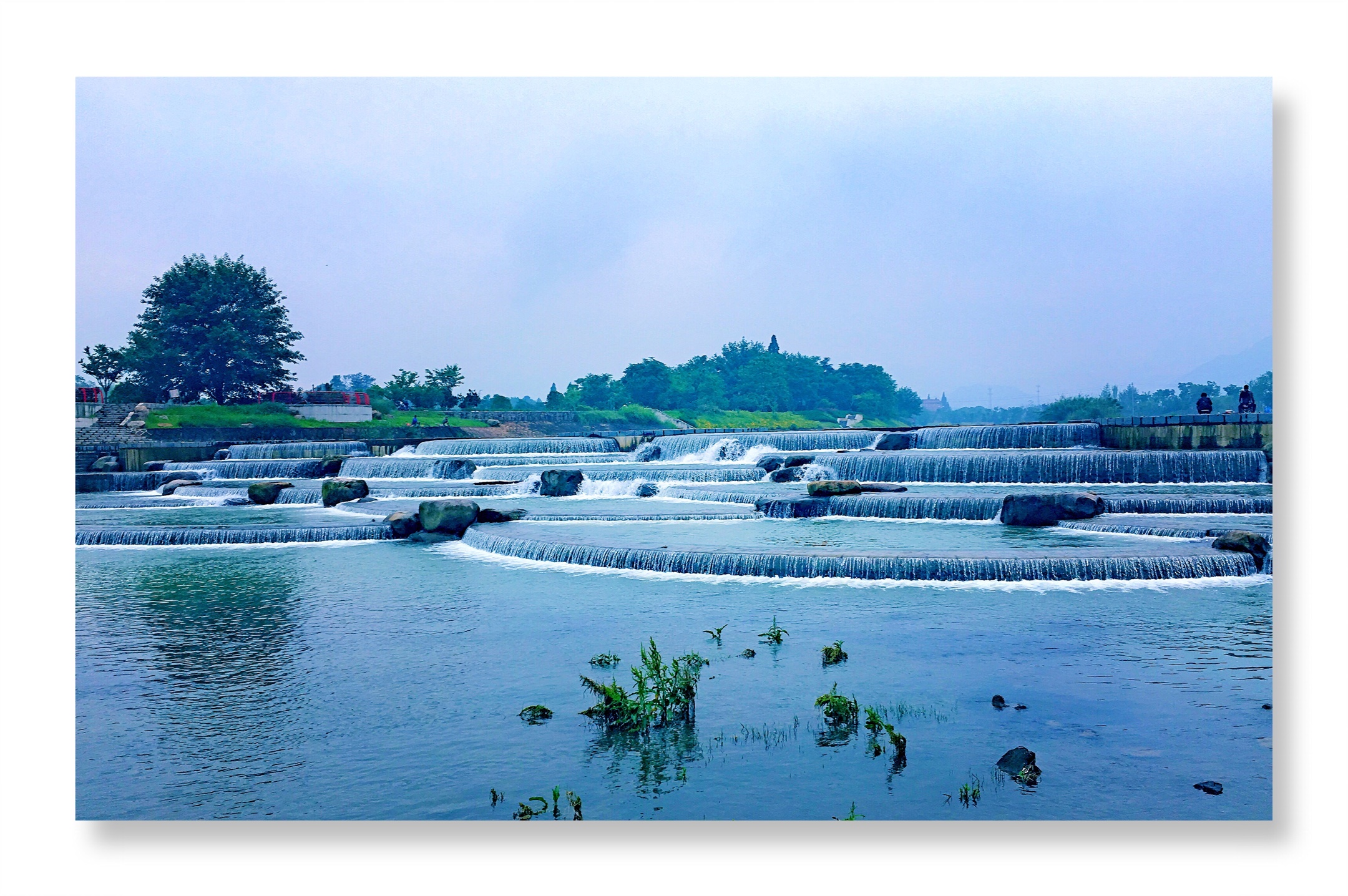 《梅溪初夏之声》2019年6月1日摄于金华梅溪畔(手机版)