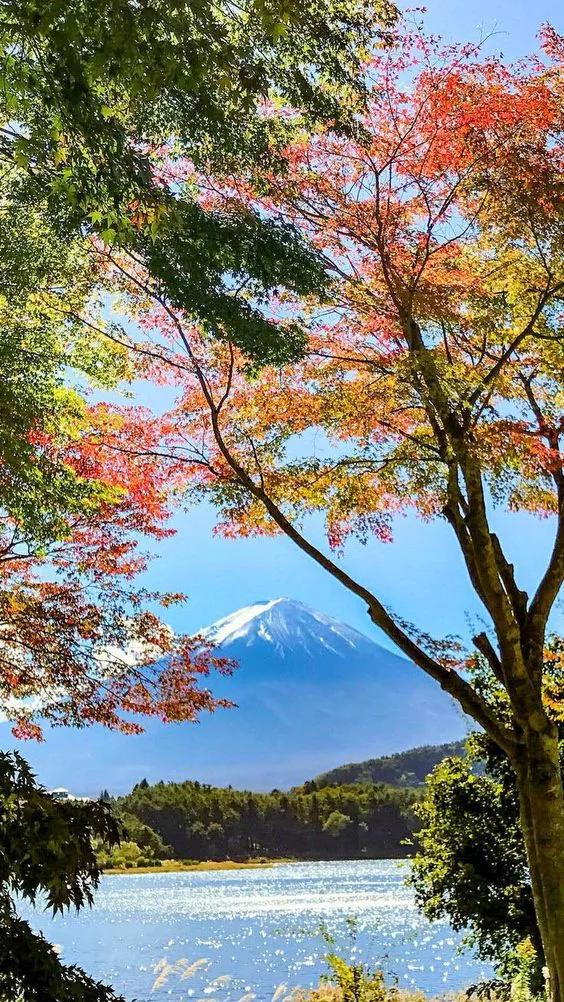 这边风景真优美