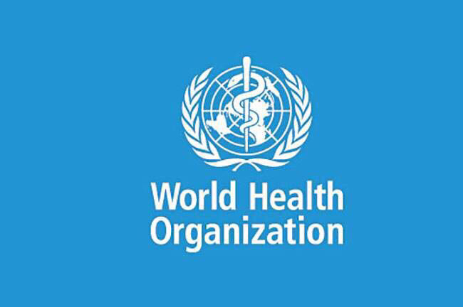 家庭项目式学习