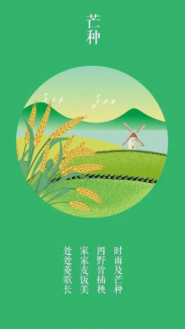 《芒种》北塔湖书画院师生和诗【原创】