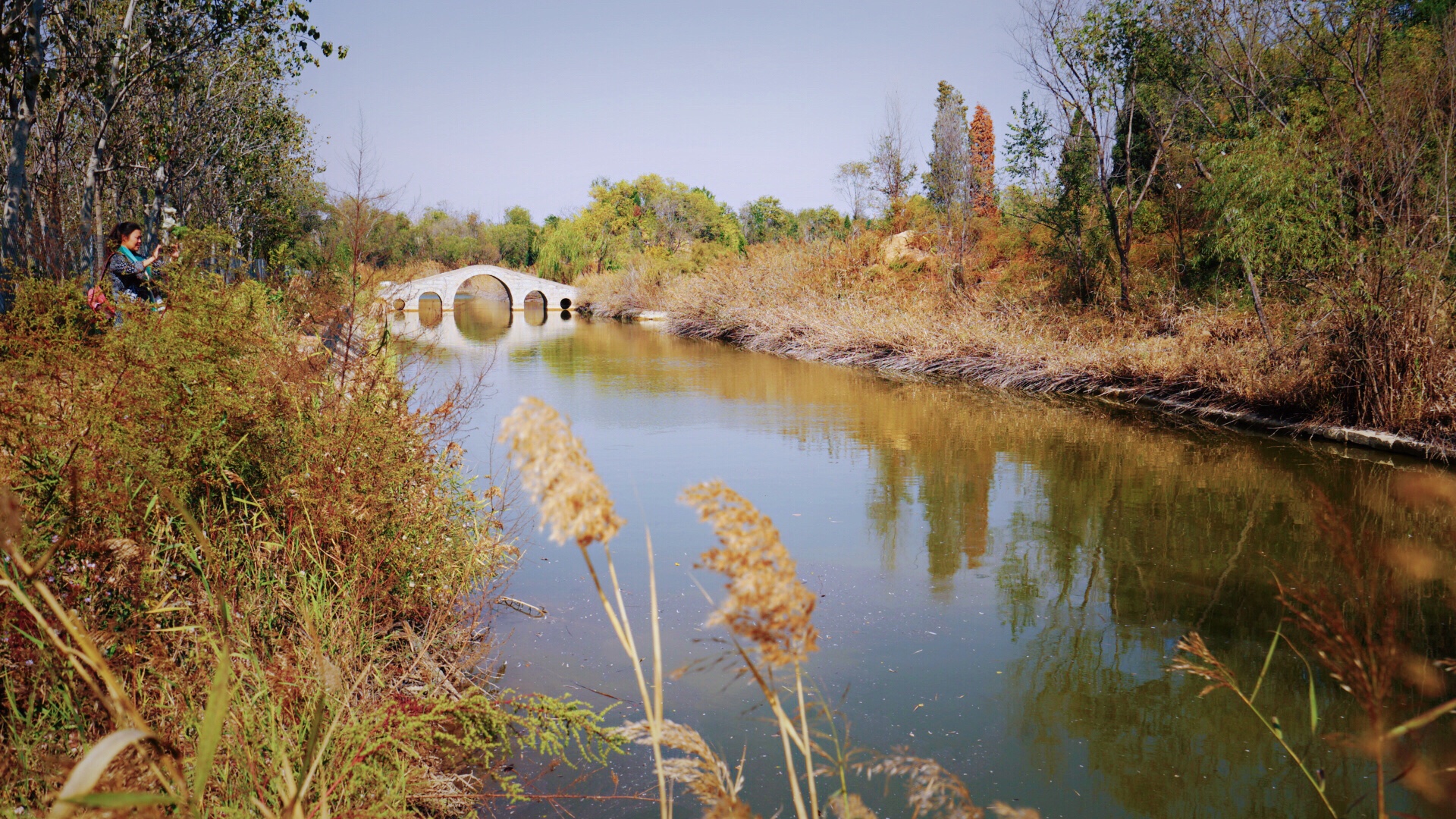 马颊河国家湿地公园图片