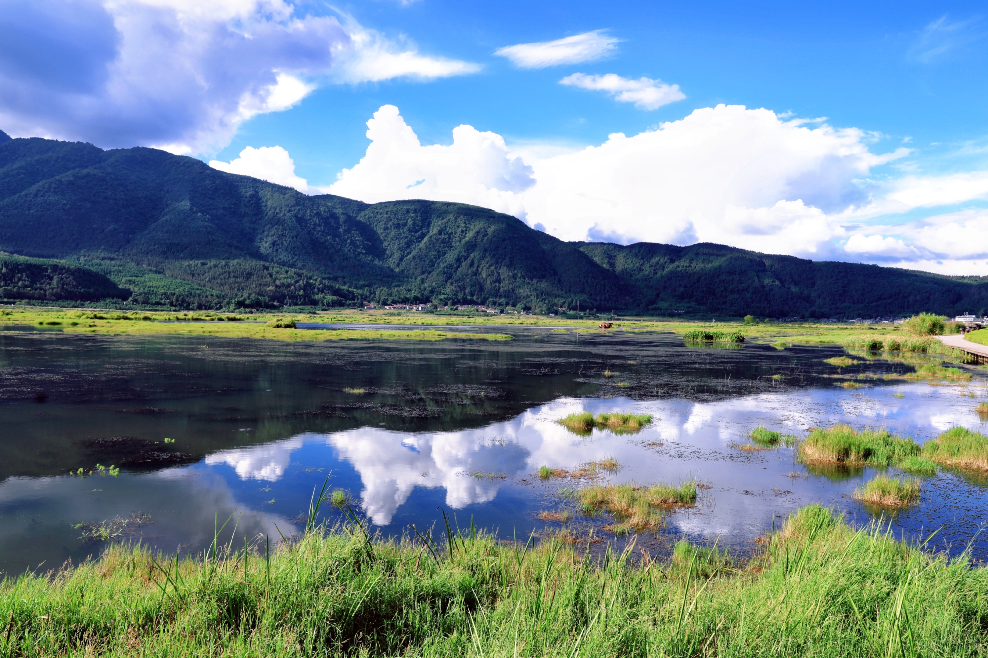 云南腾冲湿地风光