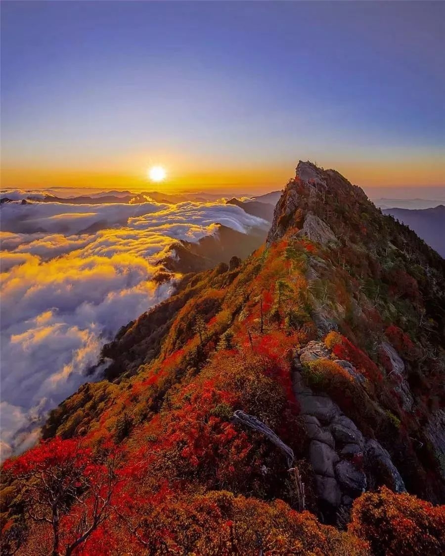 陪你踏遍千山万水