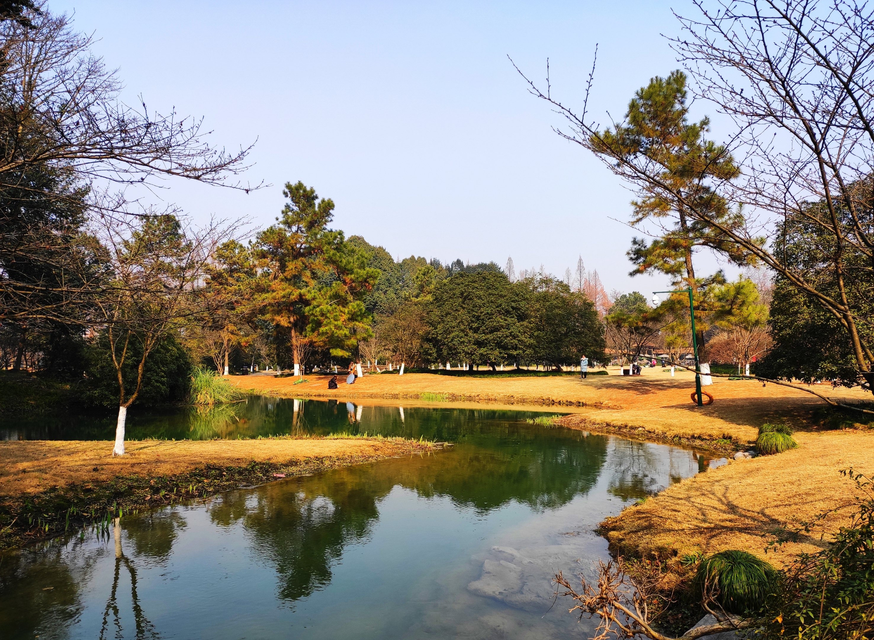 首发冬曰太子湾公园