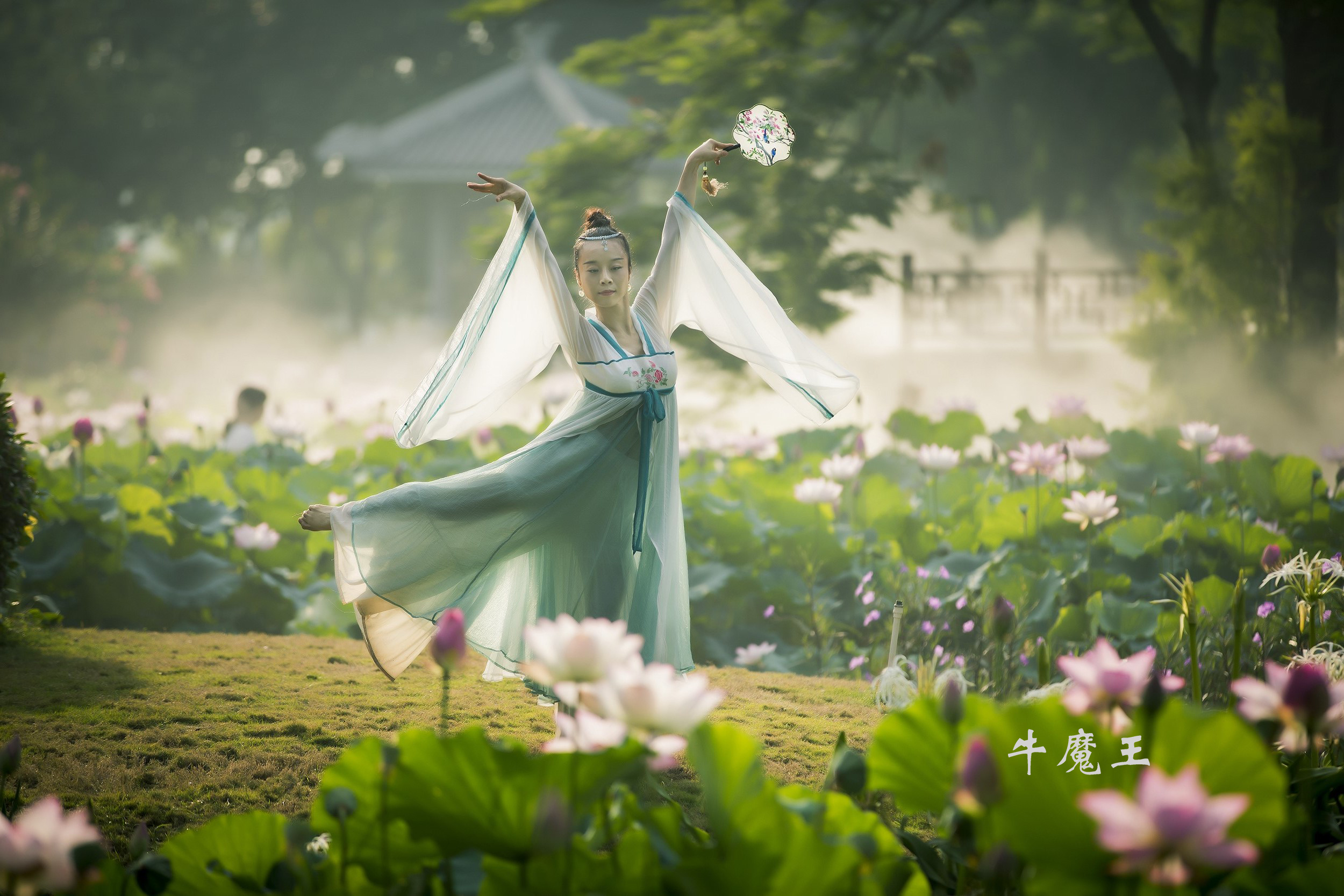 荷韵禅舞(禅城拍荷活动作品集)