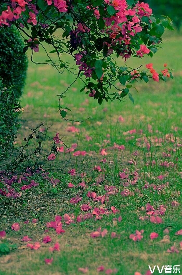 花開花戀花花落花念花原創首發