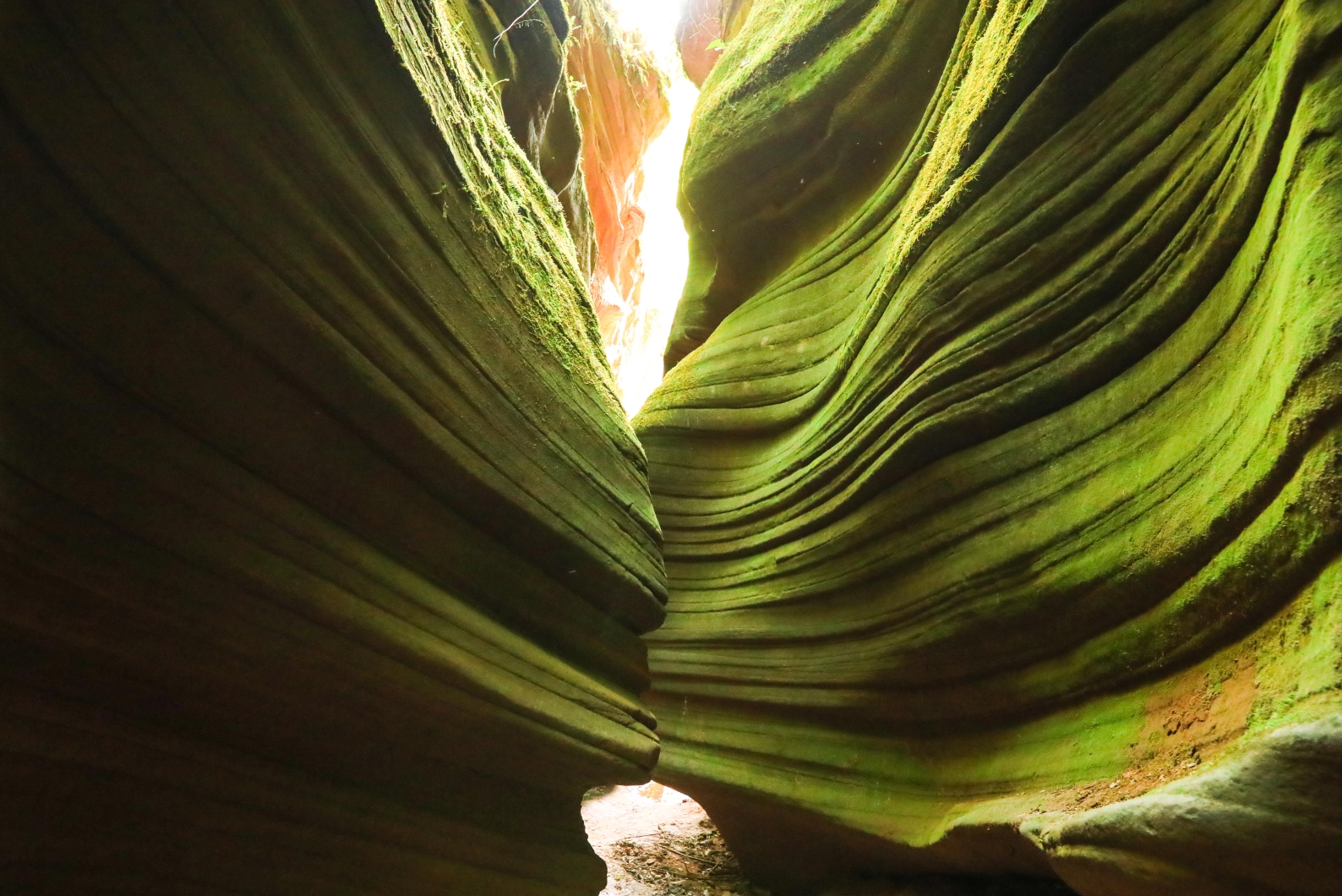 雨岔大峡谷坐落在陕西延安地区甘泉县下寺湾镇北12公里处,是