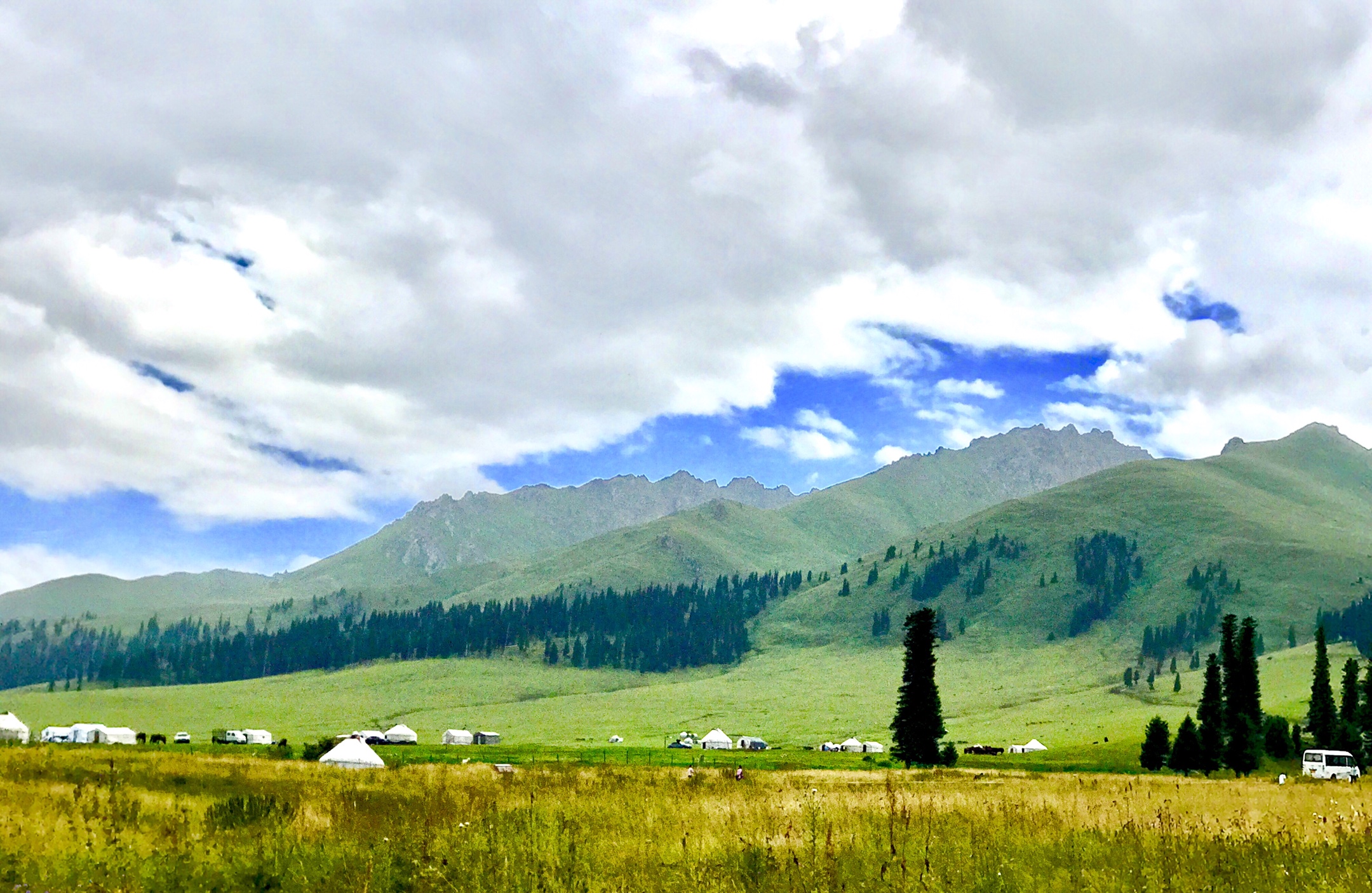 新疆伊犁那拉提空中草原.2019年手机随拍一一之21.