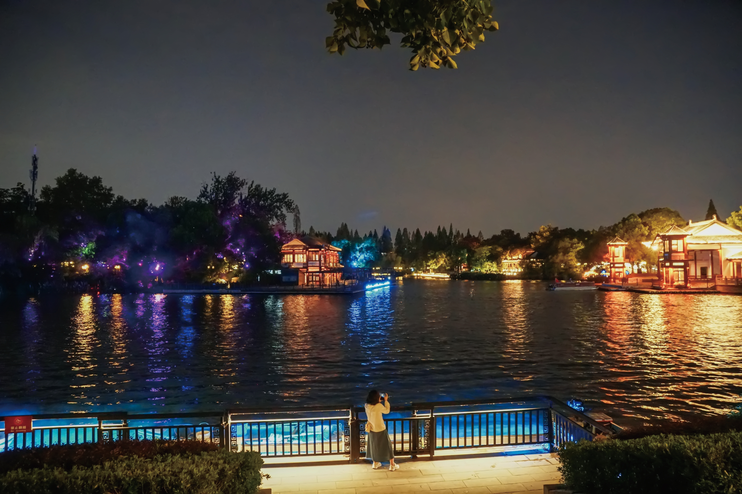白鹭洲公园的晚上