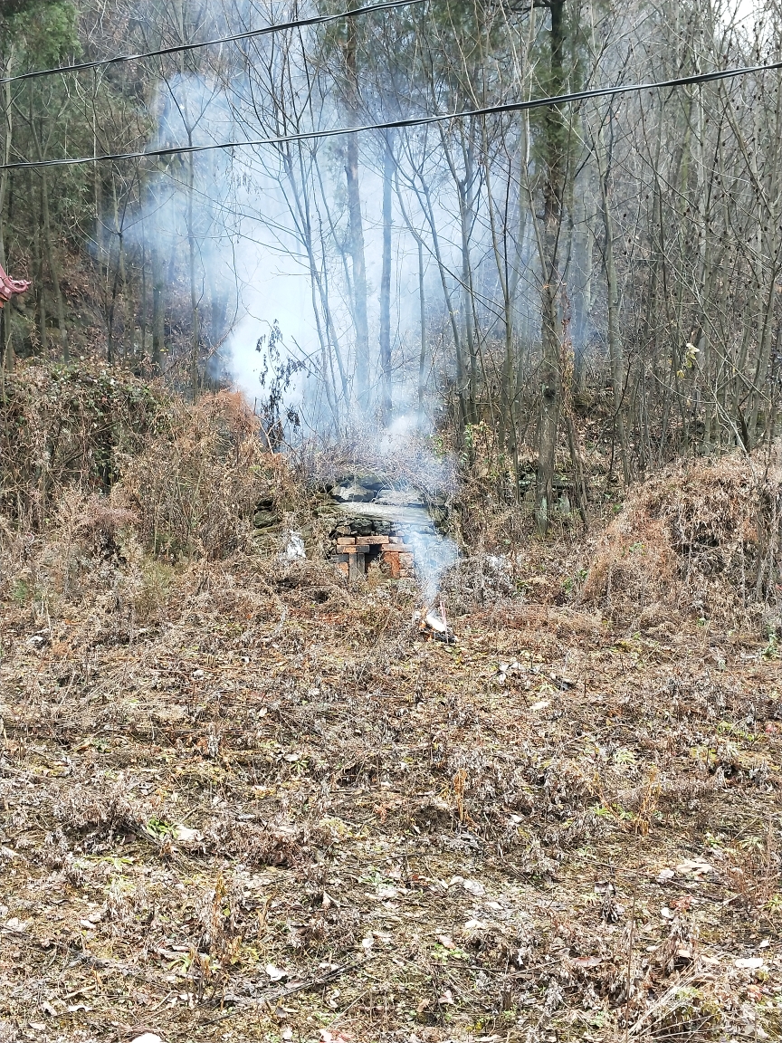 祖坟上冒起的青烟,是我对祖先的祭奠,他们在这里长眠,是我