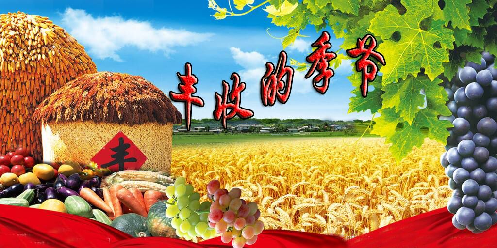 首发丰收的季节