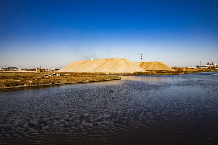 金色的渤海湾 育人的摇篮 海鸥展翅浅浅唱 池水荡漾吻蓝天