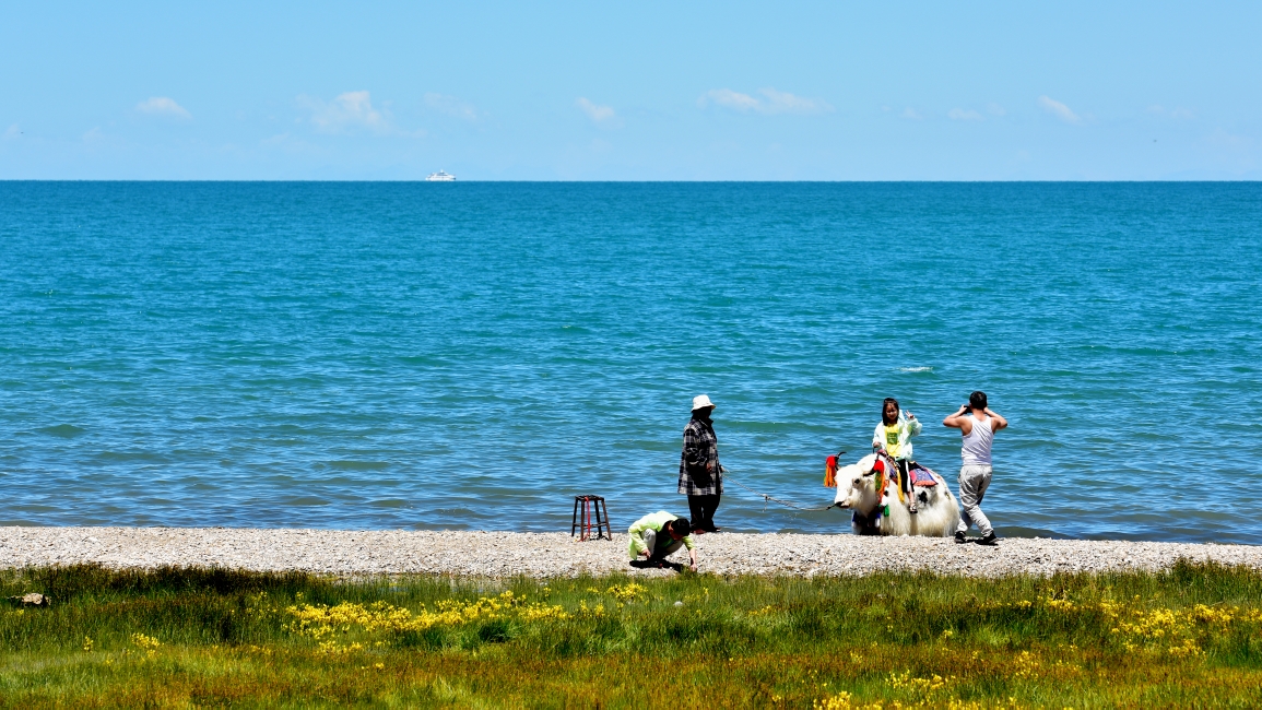 青海湖,距省會西寧150公里,青海湖流域總面積29661平方公里,湖面海拔