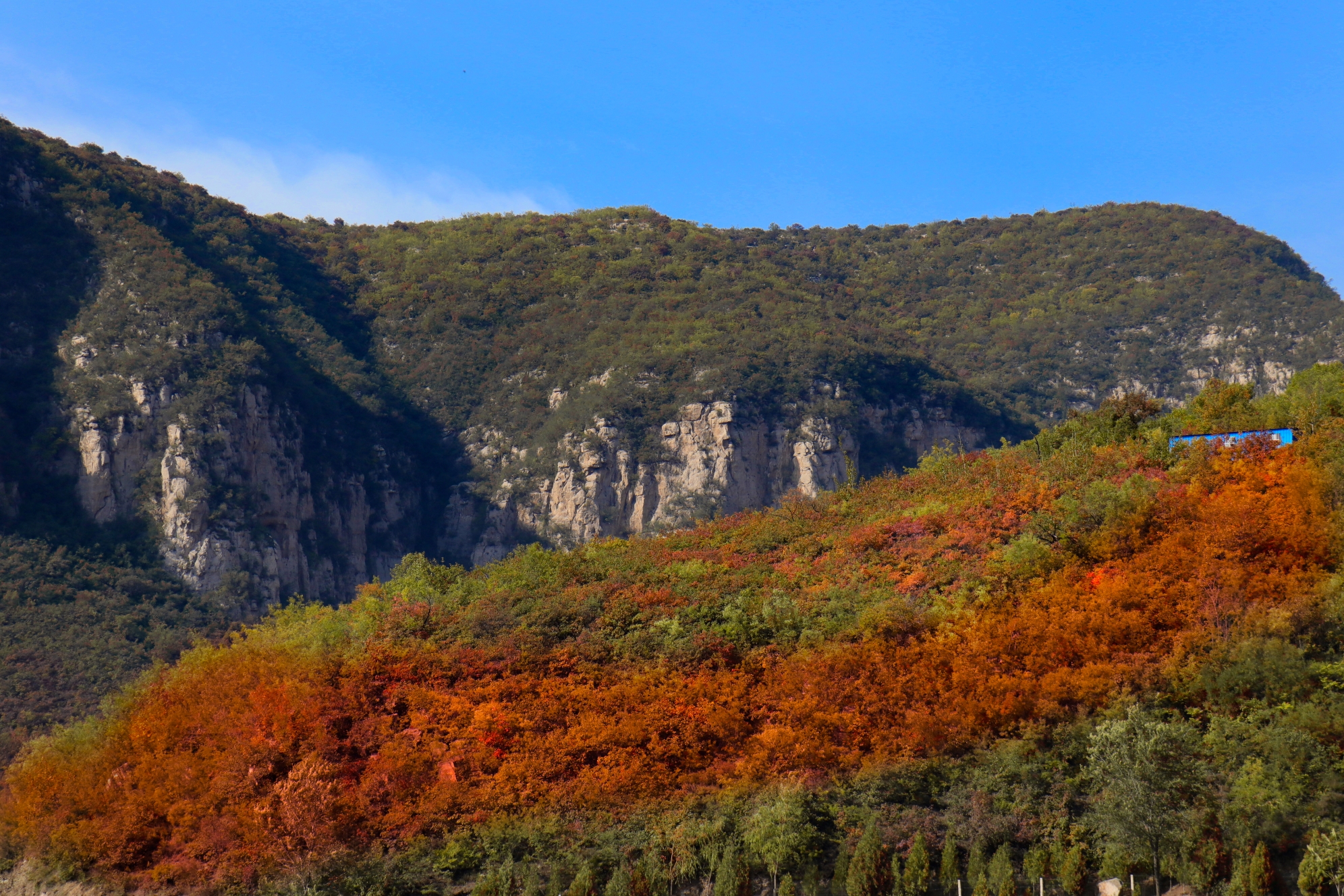 封恋寺 大安山 观古刹 赏红叶