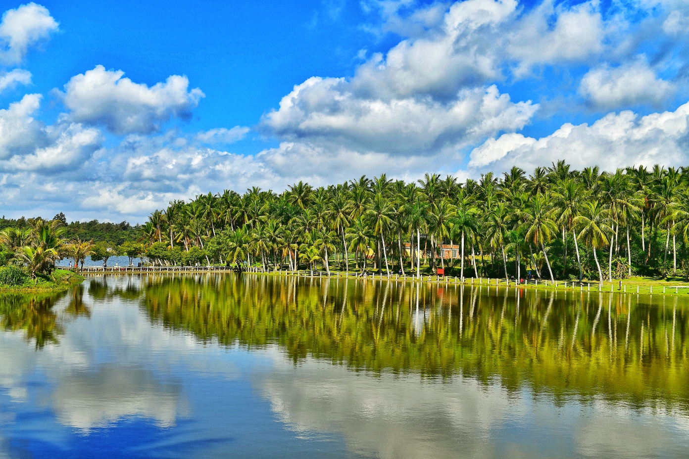 文昌椰子大观园.