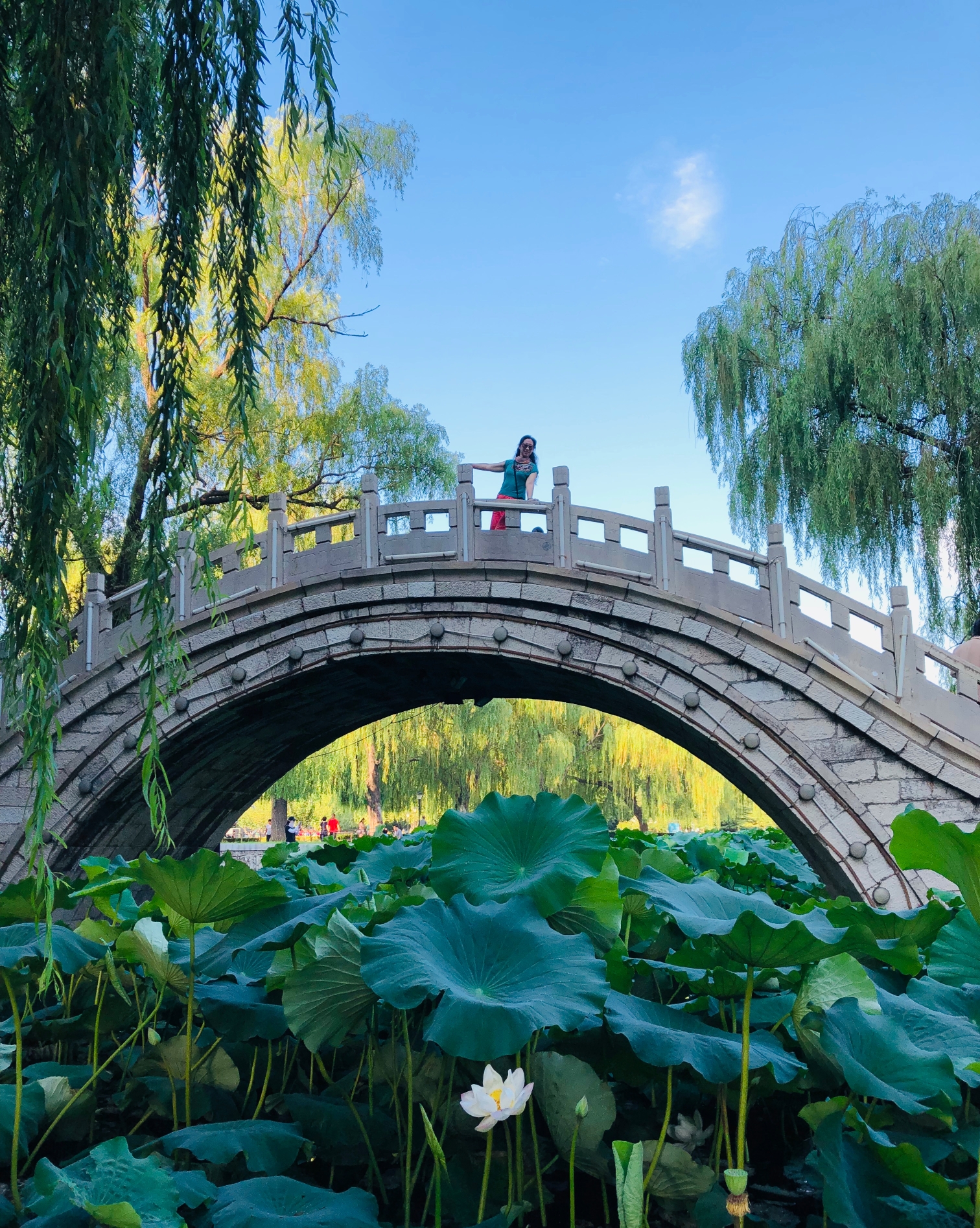 风景优美的达活泉公园