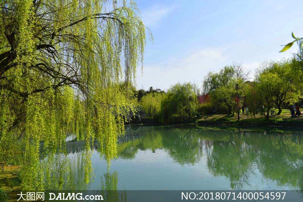 《即图》 金树一片醉客人 春宵一刻值千金 此有风景春长在 谁人不满笑