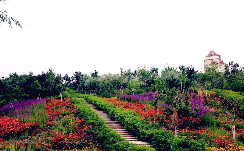 首发小绿谷公园