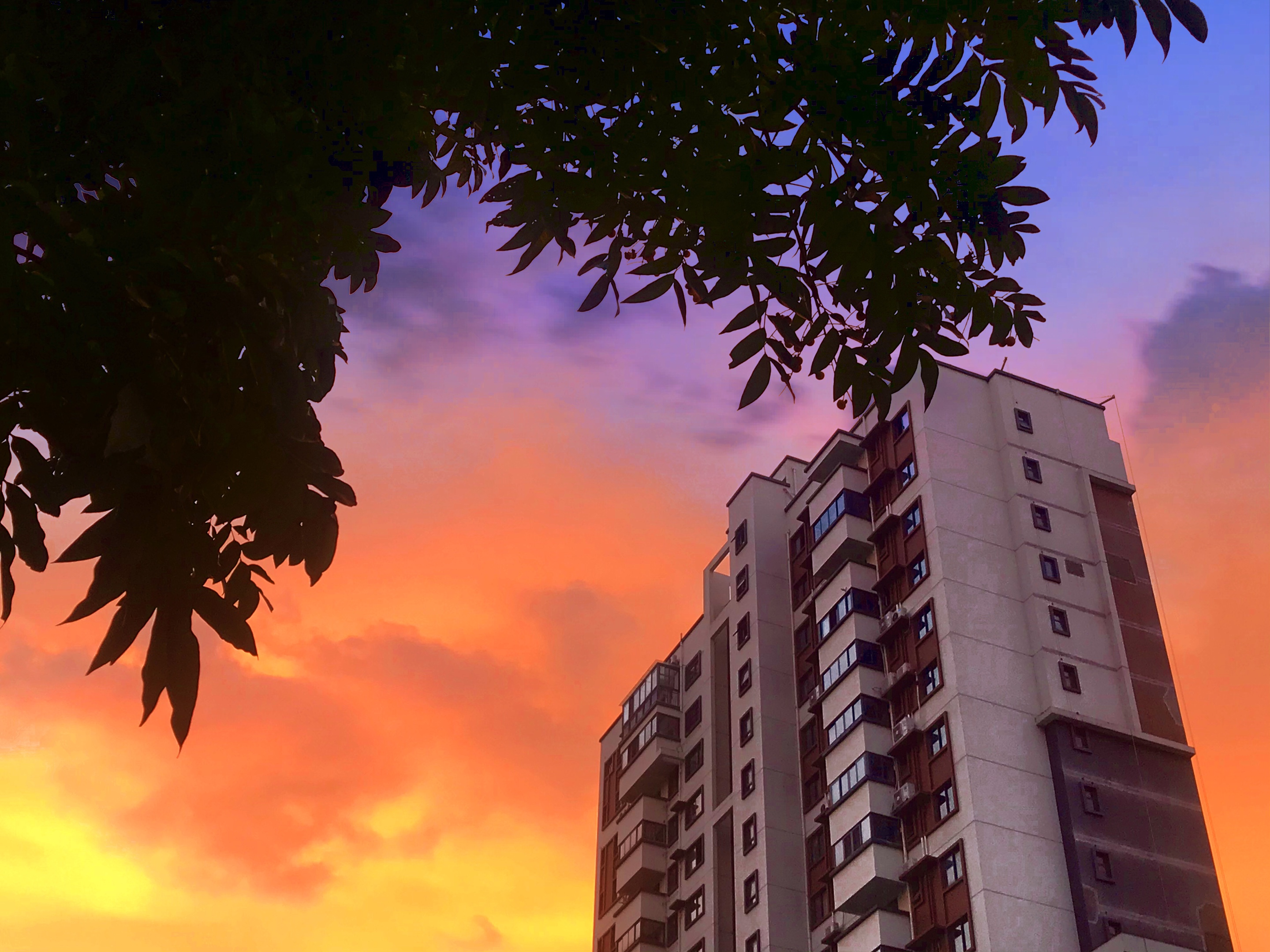 晚霞下的小区让人沉醉首发