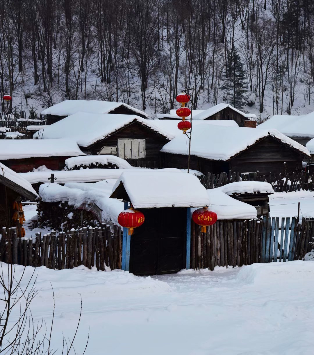 大雪中的中国作者:欧震摄影诵读制作静玉