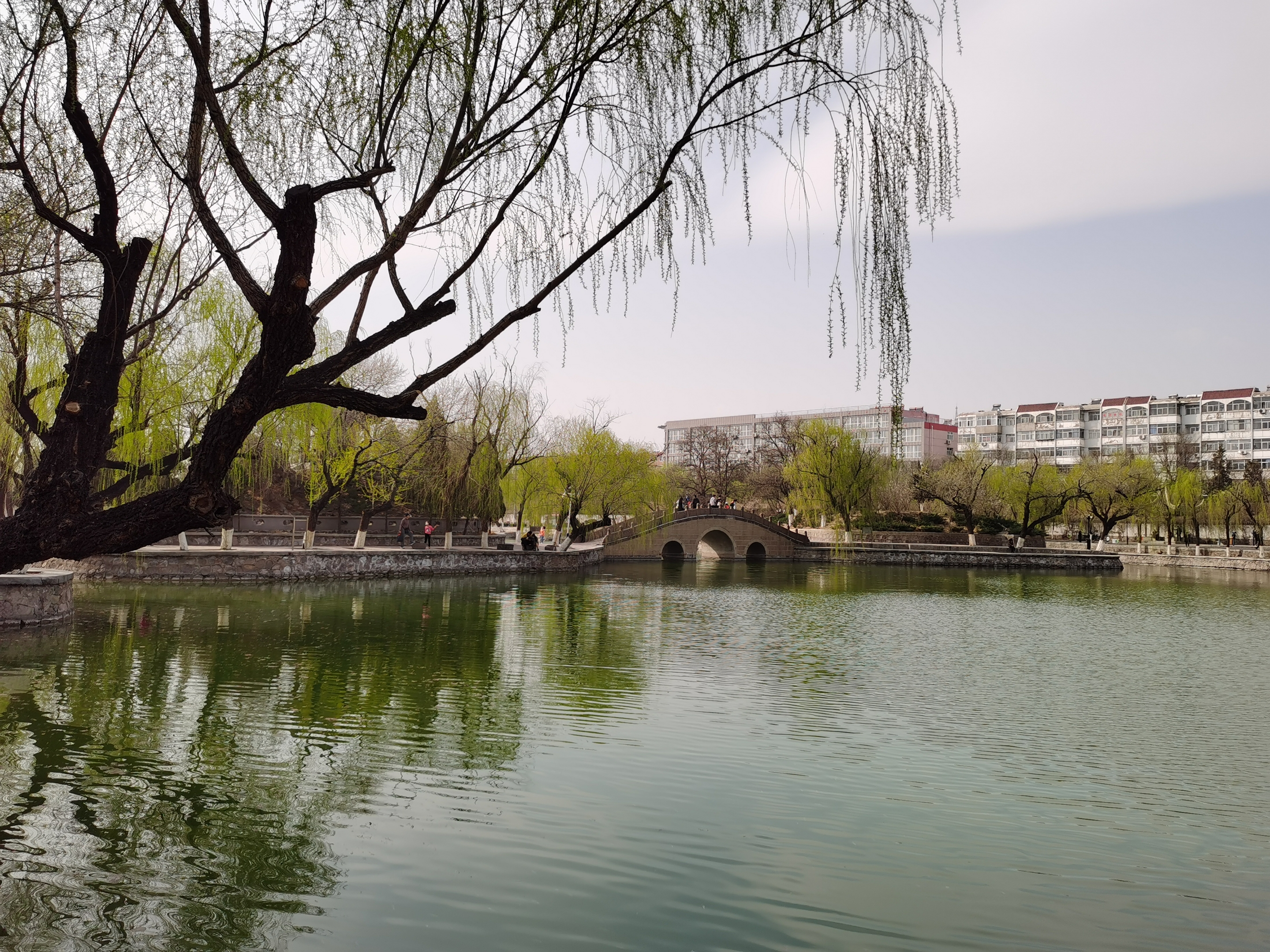 【原創首發】宣化人民公園的三孔橋(寧靜向暖)