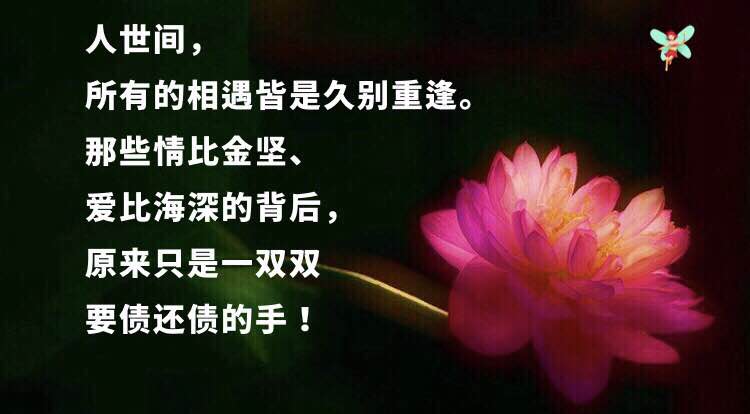 有同情心才能利人,  有圆融心才能体谅别人,  有忍耐心才会做人,  有