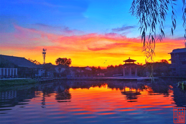 750_499gif 动态图 动图